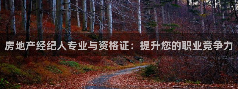 新宝5玩法：房地产经纪人专业与资格证：提升您的职业竞争力