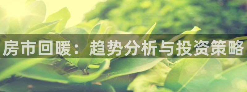 新宝5_测：房市回暖：趋势分析与投资策略