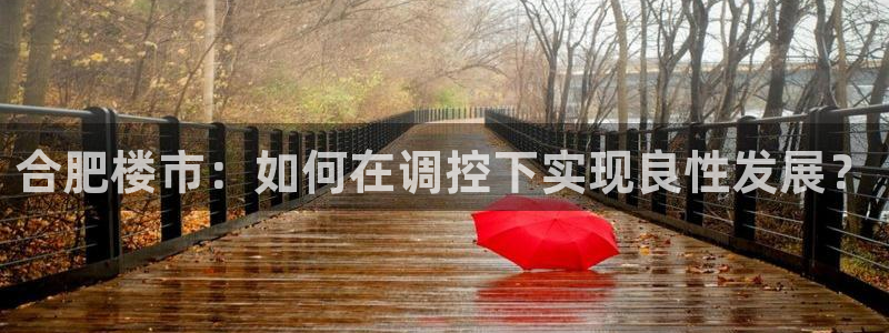 新宝5娱乐代理：合肥楼市：如何在调控下实现良性发展？