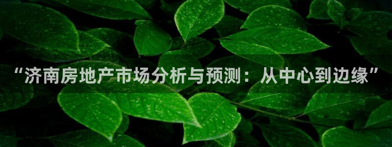 新宝5招商：“济南房地产市场分析与预测：从中心到边缘”