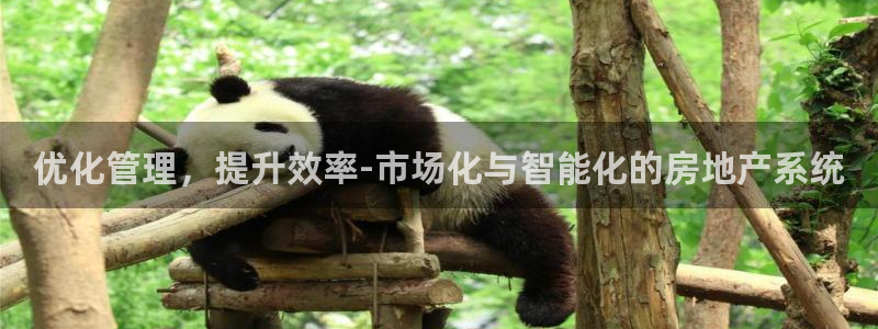 新宝5注册首页：优化管理，提升效率-市场化与智能化的房地产系