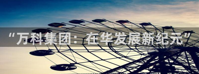 新宝5是什么样子的