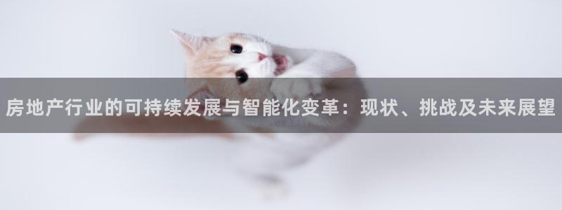 新宝5娱乐家