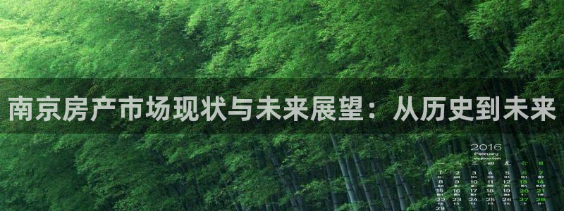 新宝股东瞧听2 5 5：南京房产市场现状与未来展望：从历史到