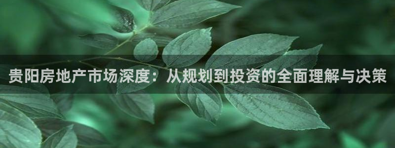 新宝5登录：贵阳房地产市场深度：从规划到投资的全面理解与决策