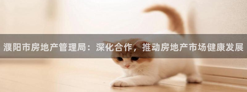 新宝5下载注册：濮阳市房地产管理局：深化合作，推动房地产市场