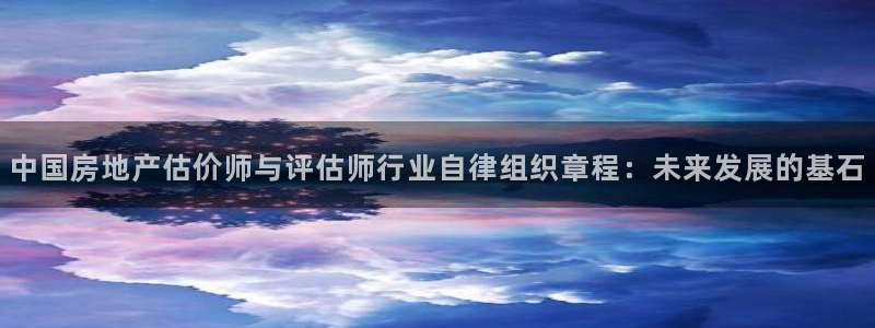 新宝5郑74OOO5：中国房地产估价师与评估师行业自律组织章