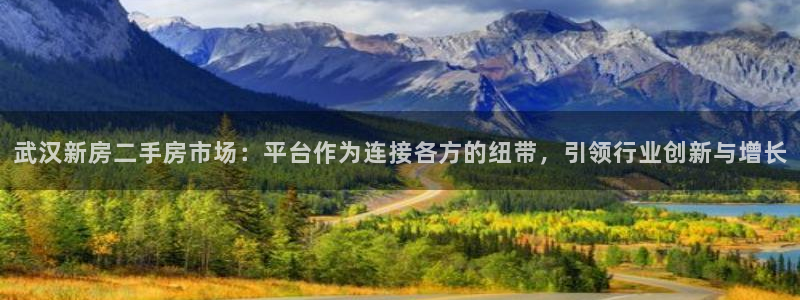 新宝5下载app：武汉新房二手房市场：平台作为连接各方的纽带