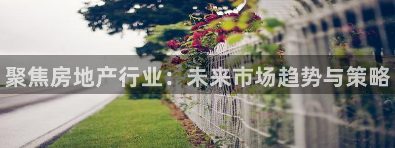 新宝5测速平台登录：聚焦房地产行业：未来市场趋势与策略