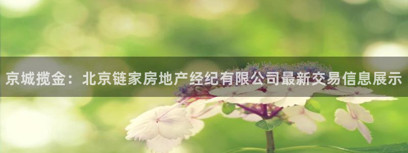 新宝5骗术：京城揽金：北京链家房地产经纪有限公司最新交易信息