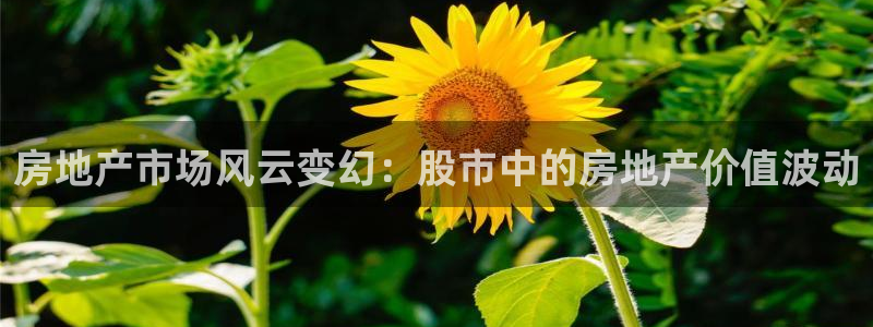 新宝5登录入口网址：房地产市场风云变幻：股市中的房地产价值波