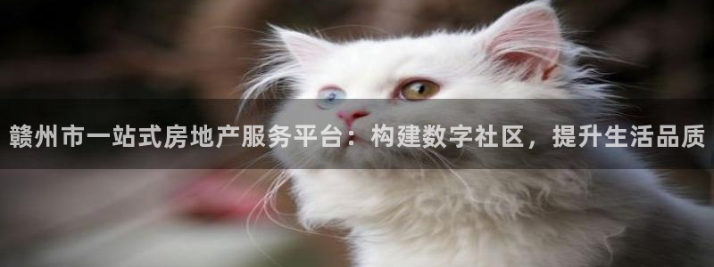 新宝5平台：赣州市一站式房地产服务平台：构建数字社区，提升生