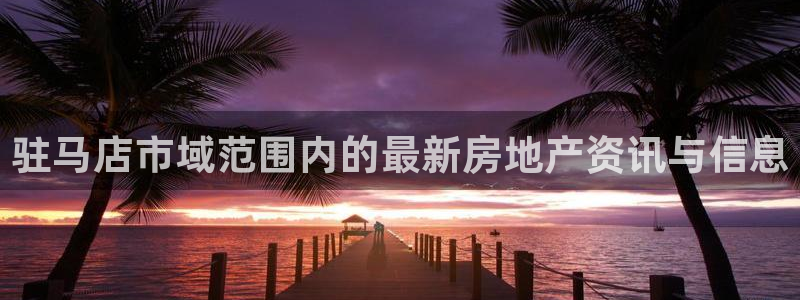 新宝5娱乐代理