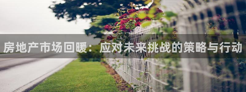 新宝5登陆：房地产市场回暖：应对未来挑战的策略与行动