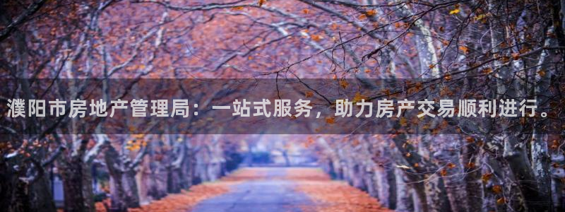 新宝5蒋74OOO5：濮阳市房地产管理局：一站式服务，助力房