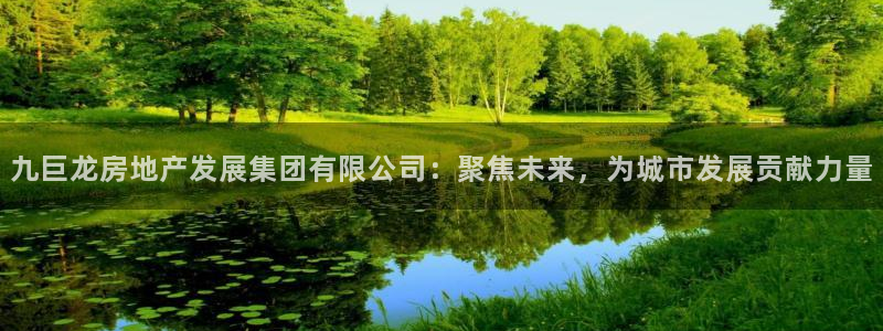 新宝5登录平台：九巨龙房地产发展集团有限公司：聚焦未来，为城