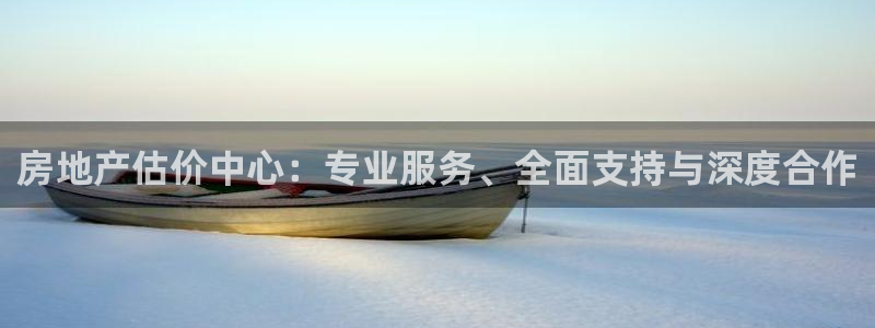 新宝那2O5O5O：房地产估价中心：专业服务、全面支持与深度