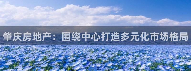 新宝5手机登录：肇庆房地产：围绕中心打造多元化市场格局