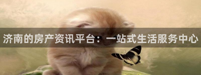 新宝测速5：济南的房产资讯平台：一站式生活服务中心