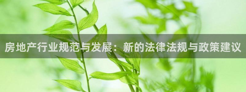 新宝5手机登录：房地产行业规范与发展：新的法律法规与政策建议