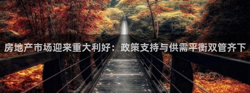 新宝5测速下载：房地产市场迎来重大利好：政策支持与供需平衡双