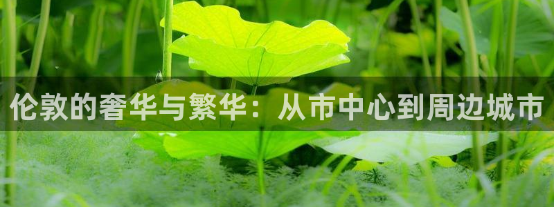 新宝5-：伦敦的奢华与繁华：从市中心到周边城市
