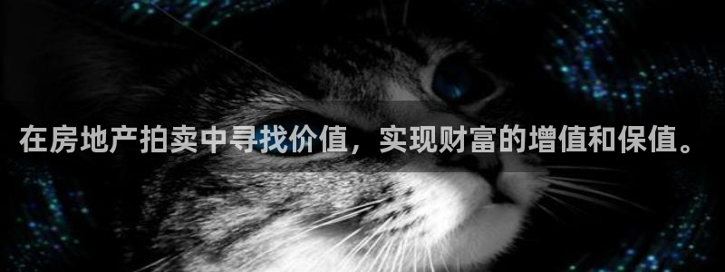 新宝5娱乐登陆：在房地产拍卖中寻找价值，实现财富的增值和保值