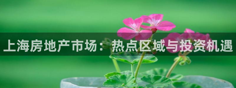 新宝5官网67五壹叁八：上海房地产市场：热点区域与投资机遇