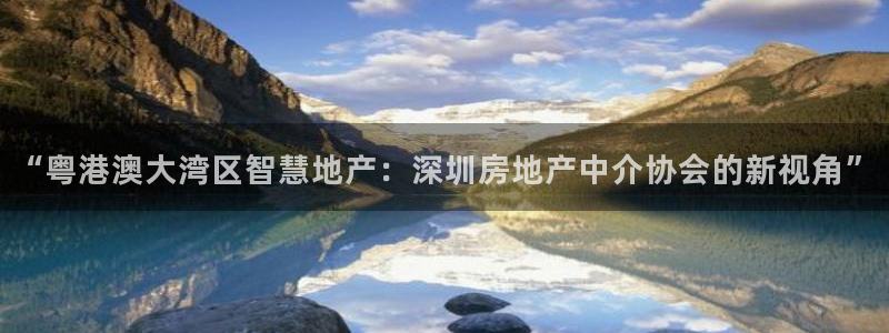 新宝5-测速：“粤港澳大湾区智慧地产：深圳房地产中介协会的新