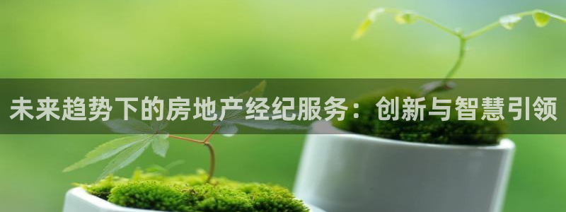 新宝5链接：未来趋势下的房地产经纪服务：创新与智慧引领