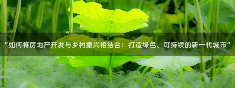 新宝5 888：“如何将房地产开发与乡村振兴相结合：打造绿色