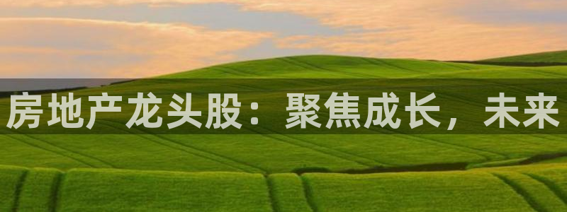 新宝5注册流程：房地产龙头股：聚焦成长，未来