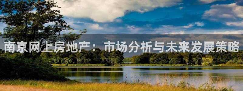 新宝5娱乐代理：南京网上房地产：市场分析与未来发展策略