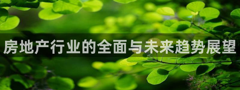新宝5 代理：房地产行业的全面与未来趋势展望