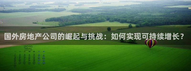 新宝cR一5：国外房地产公司的崛起与挑战：如何实现可持续增长