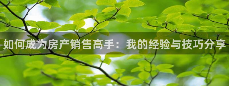 新宝5测速下载：如何成为房产销售高手：我的经验与技巧分享