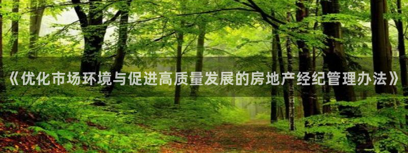 新宝5代理注册：《优化市场环境与促进高质量发展的房地产经纪管