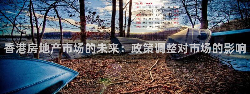 新宝5娱乐没：香港房地产市场的未来：政策调整对市场的影响