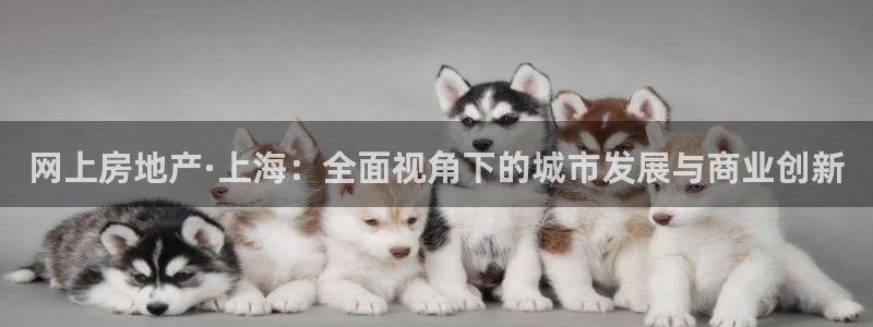 新宝奇迹GG5：网上房地产·上海：全面视角下的城市发展与商业