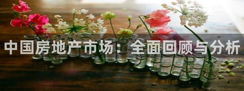 新宝5尤74OOO5：中国房地产市场：全面回顾与分析