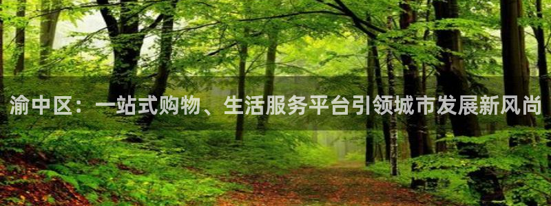 新宝5娱乐没：渝中区：一站式购物、生活服务平台引领城市发展新