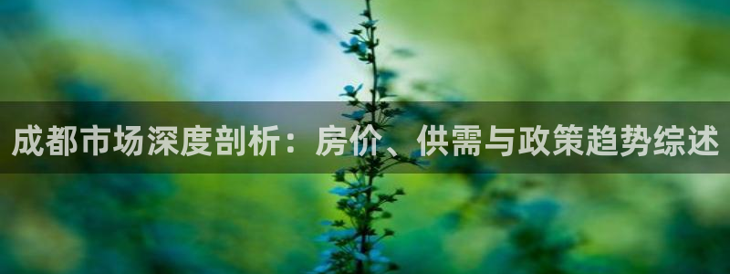 新宝5浗维33 300：成都市场深度剖析：房价、供需与政策趋