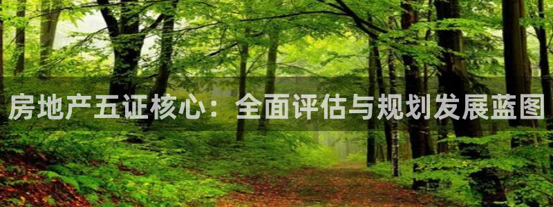 新宝骏rc5W：房地产五证核心：全面评估与规划发展蓝图