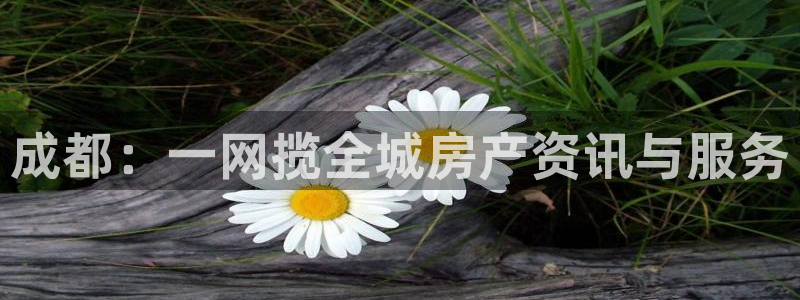 新宝5官网app