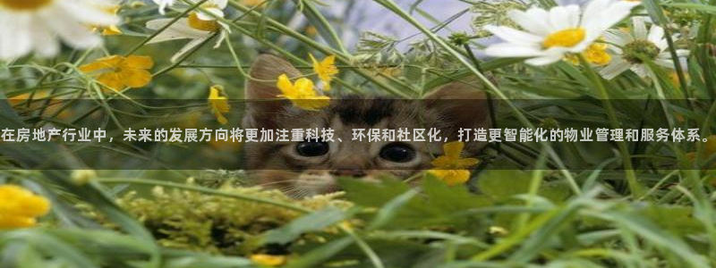 新宝5是谁的：在房地产行业中，未来的发展方向将更加注重科技、
