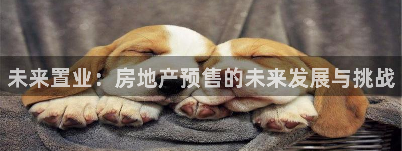 新宝5吴74OOO5：未来置业：房地产预售的未来发展与挑战