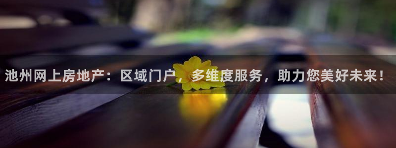 5新宝：池州网上房地产：区域门户，多维度服务，助力您美好未来