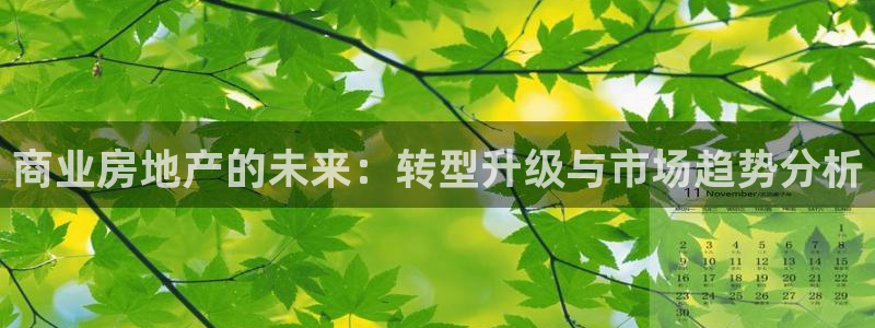 新宝5测速平台登录：商业房地产的未来：转型升级与市场趋势分析