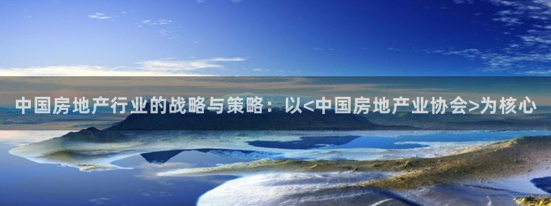 新宝5首页：中国房地产行业的战略与策略：以<中国房地产业协会