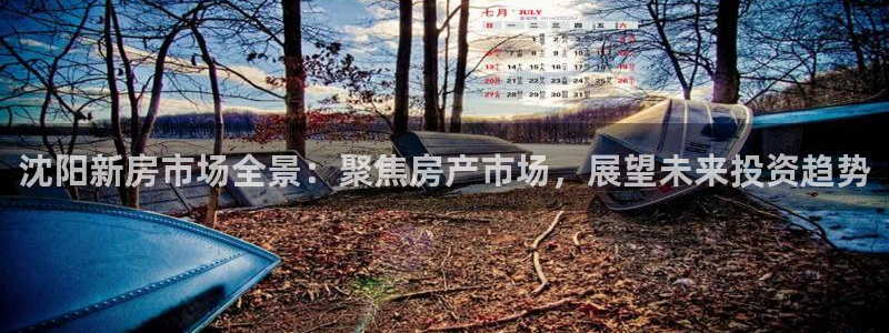 新宝5唯一：沈阳新房市场全景：聚焦房产市场，展望未来投资趋势